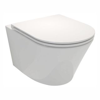 Унитаз подвесной Jacob Delafon Rodin+ EDY102-00