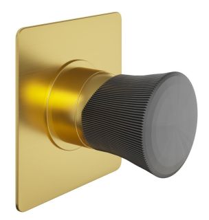 Встраиваемый смеситель для душа Paini Domus 18PJ690PZ матовое золото