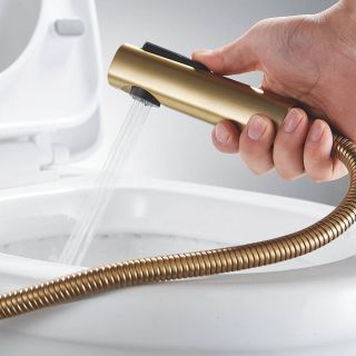 Гигиенический душ со смесителем Shevanik S9905G-1 золотой сатин