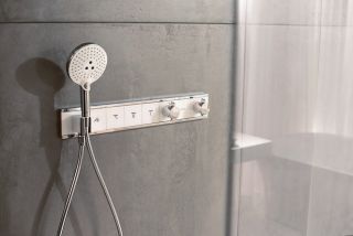 Душевая лейка Hansgrohe Raindance Select S 120 3jet 26530000