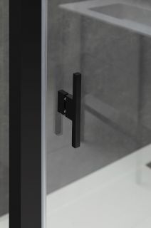 Душевая дверь Allen Brau Priority 100 3.31006.BBA профиль Черный