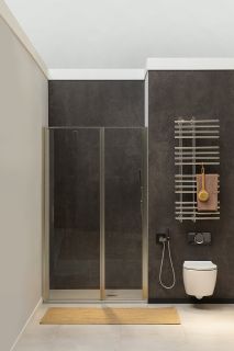 Душевая дверь Allen Brau Priority 120 3.31032.BA профиль Серебро браш