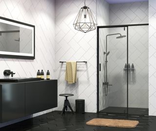 Душевая дверь Wasserkraft Elbe 74P04 90x200