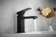 Смеситель для раковины Rose R1001H-1 чёрный матовый