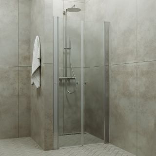 Душевая дверь Triton Дабл Щ0000036862 100 см