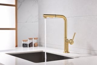 Смеситель для кухни Paulmark Neo Ne214419-SBG светлое брашированное золото