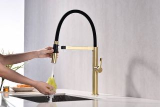 Смеситель для кухни Paulmark Leader Le214101-SBG светлое брашированное золото