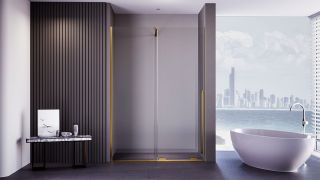 Душевая дверь Veconi Premium Trento PTDW-50G, 1000x2000, брашированное золото, стекло прозрачное